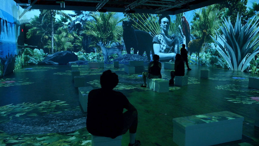 Frida: An Immersive Biography